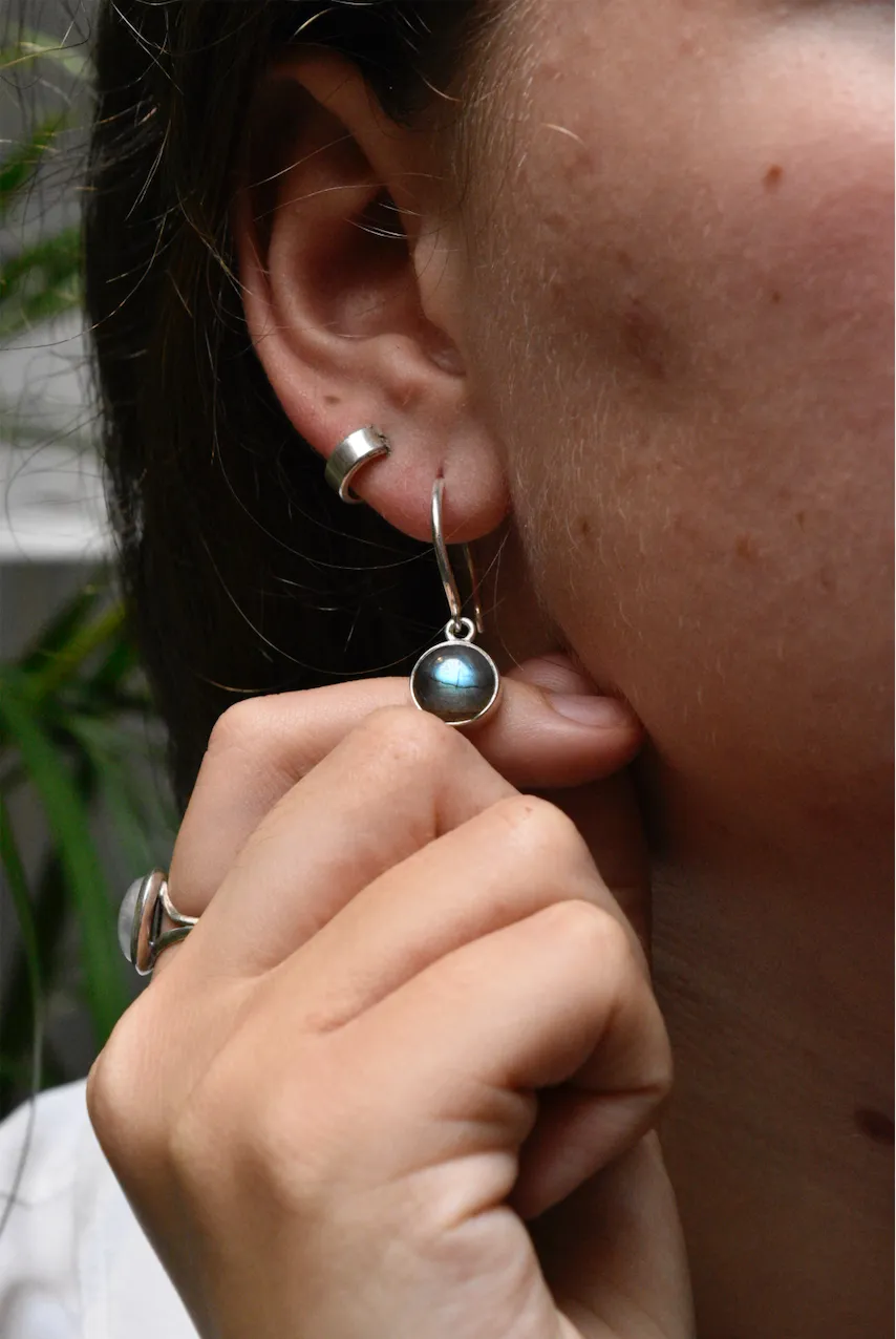 Labradorite Signe Earrings