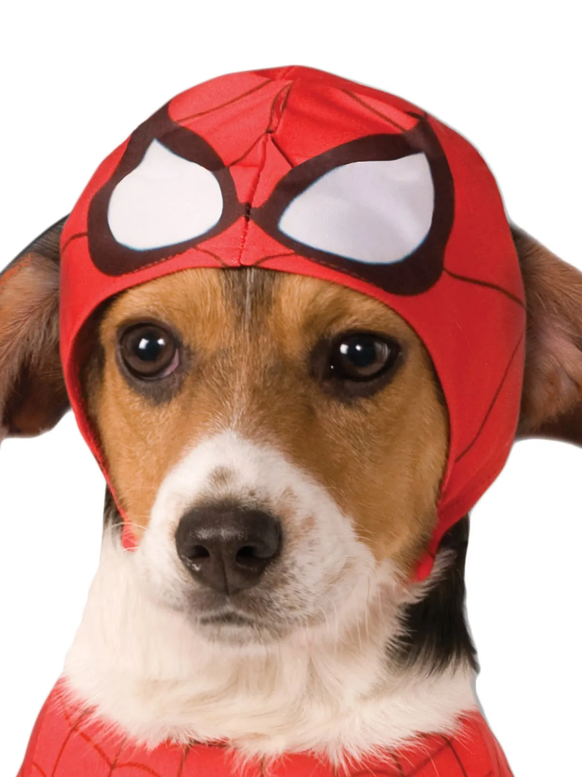 Spider-Man Pet Costume - Marvel Spider-Man